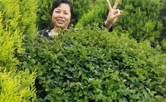 看着我是怎么吃你的水蜜桃